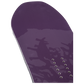 S Corp Snowboard